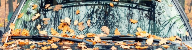 4 Common Fall Auto Repairs, Be Prepared For Winter